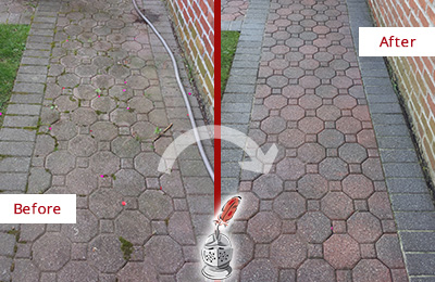 Before and After Picture of Concrete Paver Cleaned and Color Enhanced