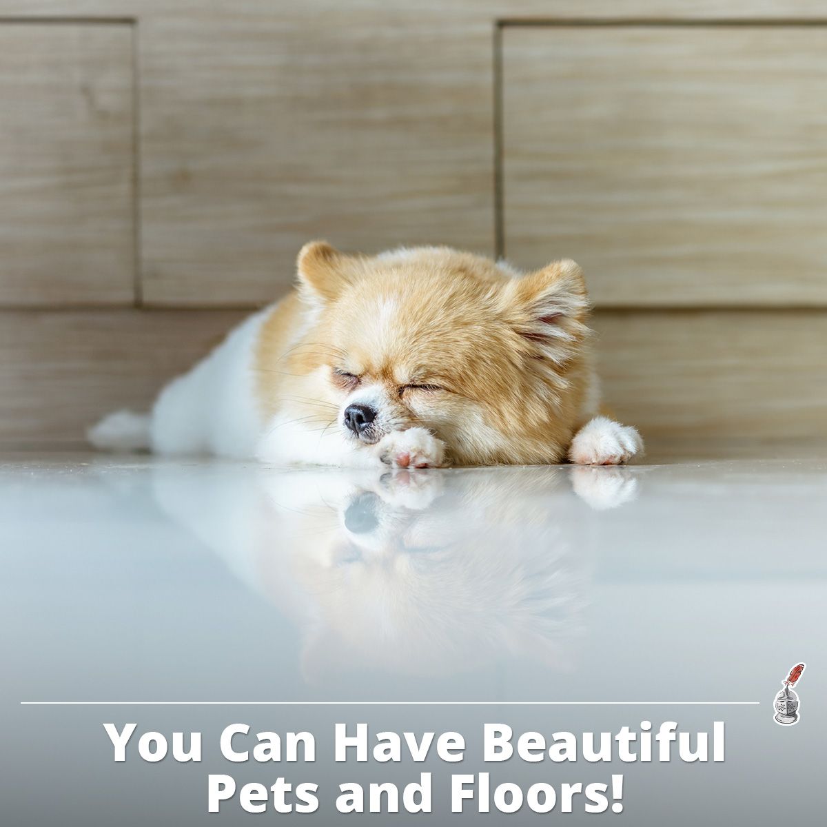 You Can Have Beautiful Pets and Floors!