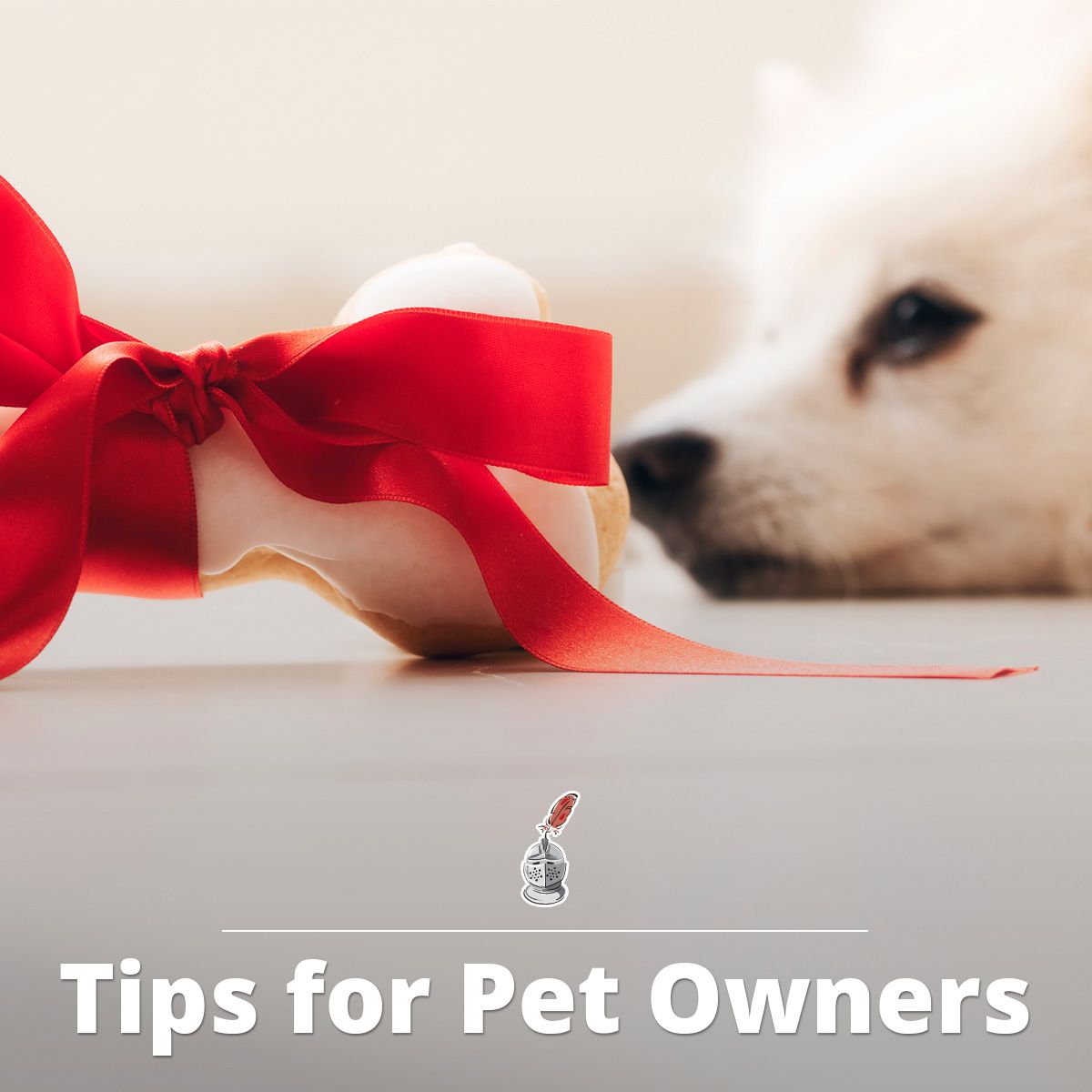 Tips for Pet Owners